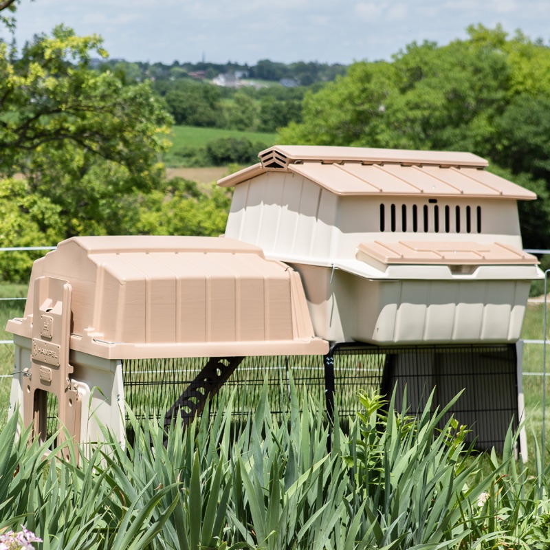 Coop with integrated run — Ultimate Chicken Coop